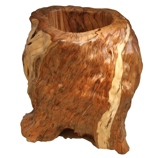 �춹ɼ����