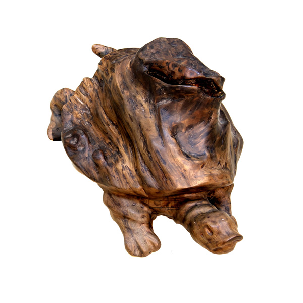 ��˿���ľ����